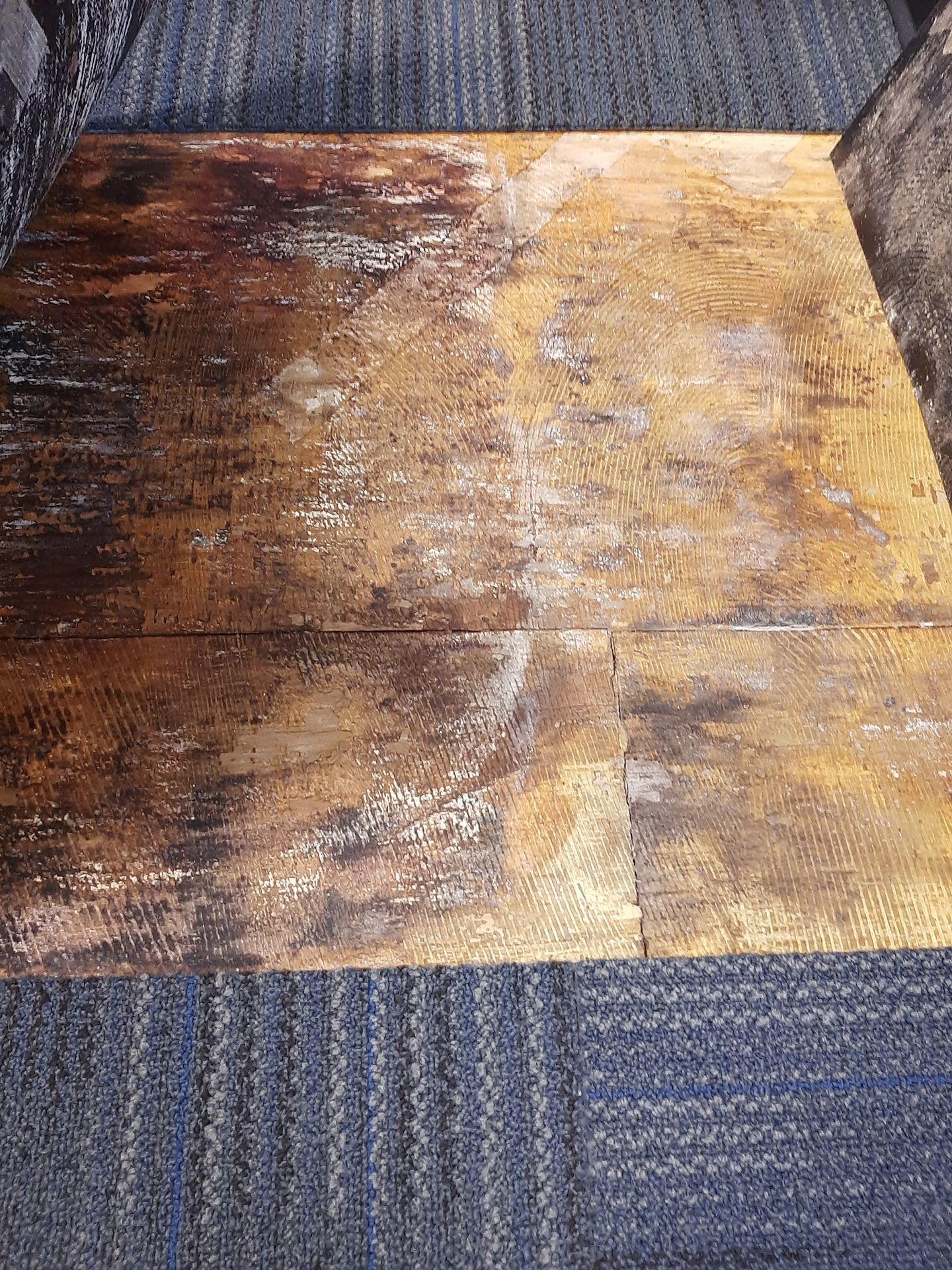 Carpet Replacement Project (Before)